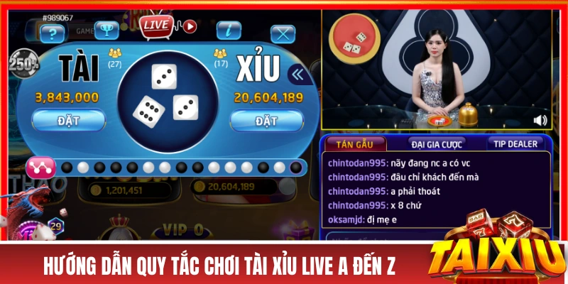 Tài Xỉu Livetream - Giao Lưu Cùng “Nàng Thơ” Trên Sóng Live Hướng dẫn quy tắc chơi tài xỉu live A đến Z